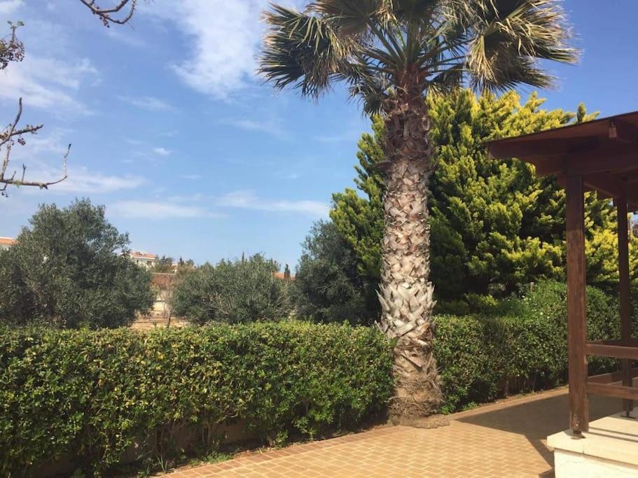 - Ayia Thekla Sea View