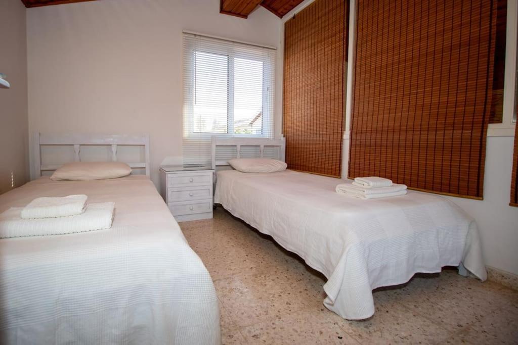 - Ayia Thekla Sea View Villa *